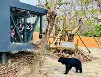 壽山動物園攜手飯店創商機 推住房專案新體驗