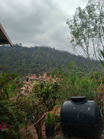 高雄山區午後降雨  緩解旱象有待觀察