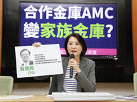 王鴻薇質疑蔡見興  公股金控子公司變成家族金庫