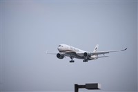 飛機卡在日本波及洛杉磯航班 星宇航空致歉承諾檢討