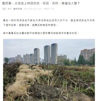 中國退林還耕走火入魔 多地現「退路還田」奇景