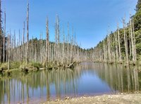 嘉義林管處與協作業者簽約 維護水漾森林環境整潔