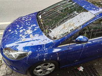 車停基隆田寮河畔遭鳥糞襲擊 市府研議季節禁停