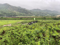 議員提活化「石虎公園」 苗縣府：待研議