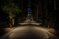 台北植物園435公尺植光步道啟用 減光害護生態