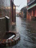 鹿港受淹水之苦 綠色和平：氣候危機衝擊在地文化