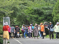 端午連假首日 武陵農場繡球花盛開湧平日3倍人潮