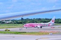 日本越洋航空鯨鯊彩繪機現身桃機 航空迷爭睹風采