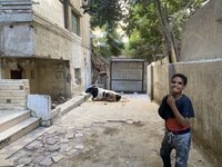 埃及肉價翻倍 窮苦穆斯林買不起牲品難過宰牲節