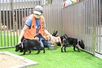 竹縣動保教育園區改建啟用  犬隻收容量可達200隻