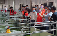 陳建仁：台灣將是東亞唯一沒有口蹄疫、非洲豬瘟與傳統豬瘟的國家