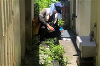 台南登革熱增14例累計231例 疫區增至8行政區