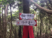 走橫嶺山步道臨時起意攀沙蓮山 4人迷途白冷山獲救