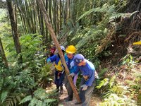 南投澀水森林步道手作改善 保護豐富蕨類生態