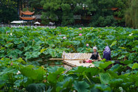 天氣太熱了 中國流行避暑遊