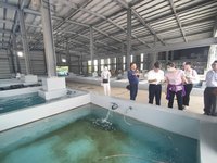 養殖場漁電共生結合加工  屏東水產公司擴大效益