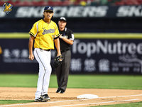 鄭浩均風格強烈 蔣少宏：以前「悶騷」現在放開燒