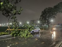 颱風襲高雄深夜風勢轉強 路樹傾倒停電狀況不斷