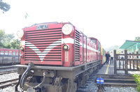 嘉義林管處轄景點、阿里山林鐵  29日恢復營運