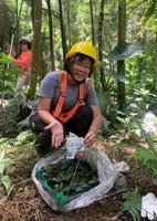 阿里山林下經濟打造品牌  可望創造百萬元產值