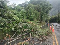 卡努颱風影響山區大雨  台8線2處路樹倒塌