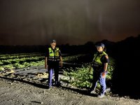 花蓮中區西瓜災損、鳳梨遭竊 警方強化巡邏見警率