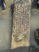 颱風後金門海邊發現石碑 研判為宣統二年「公禁碑」
