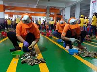嘉義區漁會剖蚵競賽促銷牡蠣 成功吸引遊客搶購