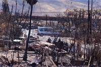 夏威夷野火累計101人罹難 州長警告最終可能翻倍