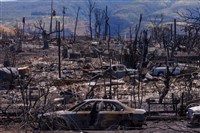 夏威夷毛伊島野火逾百死 外交部捐贈50萬美元助救災重建