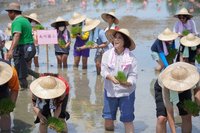屏東南州彩稻種出海底世界 國慶連假與民眾見面