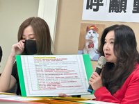 帶貓至動物醫院輸血後死亡 北市府：院方涉違法