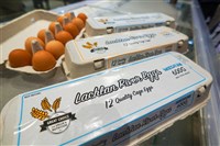 農業部：進口蛋為自由市場 無補貼特定對象