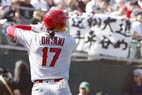 大谷翔平缺席團體照 天使隊用替身穿17號球衣