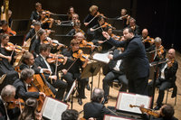 尼爾森斯領軍  萊比錫布商大廈管弦樂團11月訪台