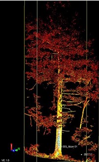 高精度光達掃描  森林碳匯估算資料一拍即得