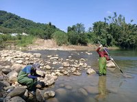 新竹鳳山溪污染案  縣府：清除12噸污泥已無臭味