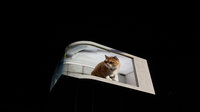 胖橘貓現身裸視3D弧形螢幕 打造基隆新亮點