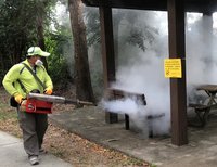 防治登革熱沒疫苗及治療藥劑 學者：噴藥滅蚊有必要