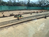 六福村脫逃狒狒遭槍殺 開槍獵人：無法分辨誰下令