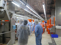 美豬產地標示不實  高市府：違規產品未流入高雄