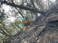 颱風小犬助長 八仙山林地火勢延燒28小時獲控制