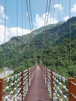 尊重原民部落傳統領域  阿里山保安林首雙重命名