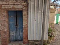 議員揭蛇躲無人宅藏匿校園引恐慌  中市府允處理