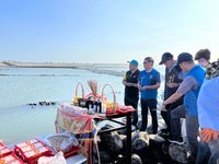 苗縣石滬崩塌搶修與大自然賽跑  地方辦祈福儀式