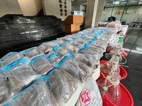 趁颱風天南投山區製毒 集團9人落網警扣2.5億元安毒