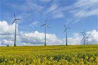 能源智庫：歐洲風力發電量去年首次超越天然氣電廠
