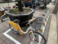 台中后里綠美化大盆栽擋iBike站  車柱位置將調整
