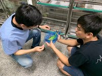 「鳥事一籮筐」講習  高市動保處提升產業競爭力