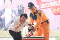 台中3搜救犬退役  盧秀燕感謝領養人照顧下半生